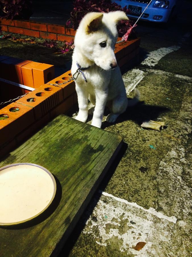巨济市 巨济敦通旅馆酒店 外观 照片